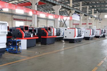 China  company profile